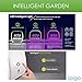 Intelligent Indoor LED Light Garden by Spigo, with Self-Timing and Self Watering Technology, Great for Growing Fresh Herbs, Small Plants, and Also Makes A Great Gift, Sleek Matte Black Finish