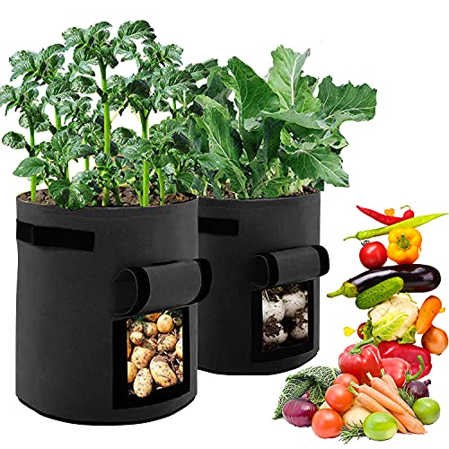 Kapsi Kartoffel Pflanzsack 2 Stück Cover