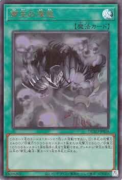 遊戯王　デュエリストアドバンス　330パック　サーチ済み 遊戯王オフィシャルカードゲーム デュエルモンスターズ 新品・未