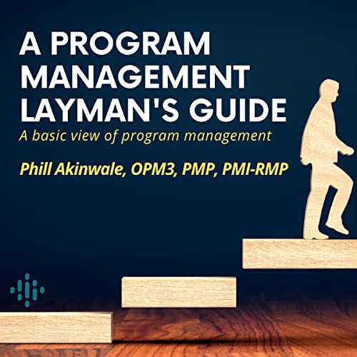 Enjoy A Program Management Layman's Guide from Phill Akinwale episode artwork
