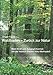 Produktbild Waldbaden  Zurück zur Natur: Mehr Kraft und Ausgeglichenheit mit der Hainich Shinrin-Yoku-Methode®