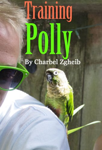 Training Polly, guide to train your bird