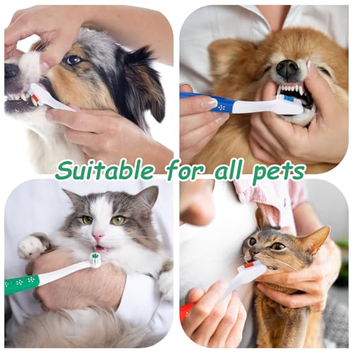 Image of Gosknor 3 Pcs Dual Headed Pet Toothbrush for Dogs & Cats, Soft Bristles Pet Teeth Brush Double Head Cleaning Toothbrush for Small and Large Dogs Cats Teeth Cleaning and Dental Care(Three Colors)