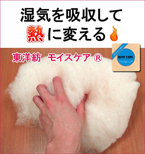 ★大幅値引き【日本製 東洋紡 モイスケア 肌掛け布団 145cm×210cm】さらっとドライ 吸湿熱であったかい やわらかい掛布団 Amazon｜日本製 東洋紡 モイスケア 肌掛け布団 さらっとドライ 吸湿熱