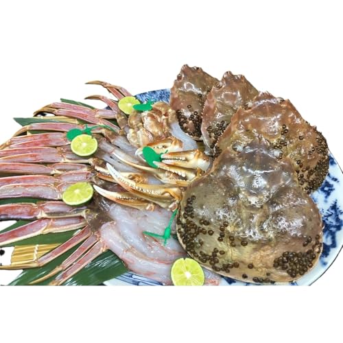 海祥 [訳あり幻のズワイ蟹] 京丹後産 活間人蟹 鮮度良好、活きたままお届け!! 800g級(足1本落ち)×1杯