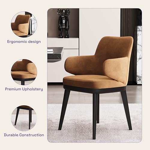 Image of Wakefit Arvia Dining Chair with Arm - Napoli Tan
