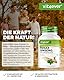 Roter Panax Ginseng - 180 Kapseln - 1800 mg pro Tagesportion - 20% Ginsenoside - Roter koreanischer Ginseng 20:1 Wurzelextrakt - Hochdosiert - Vegan