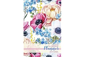Me and My Big Ideas Planner 2019 -2020: A Convenient Tool for Scheduling Success