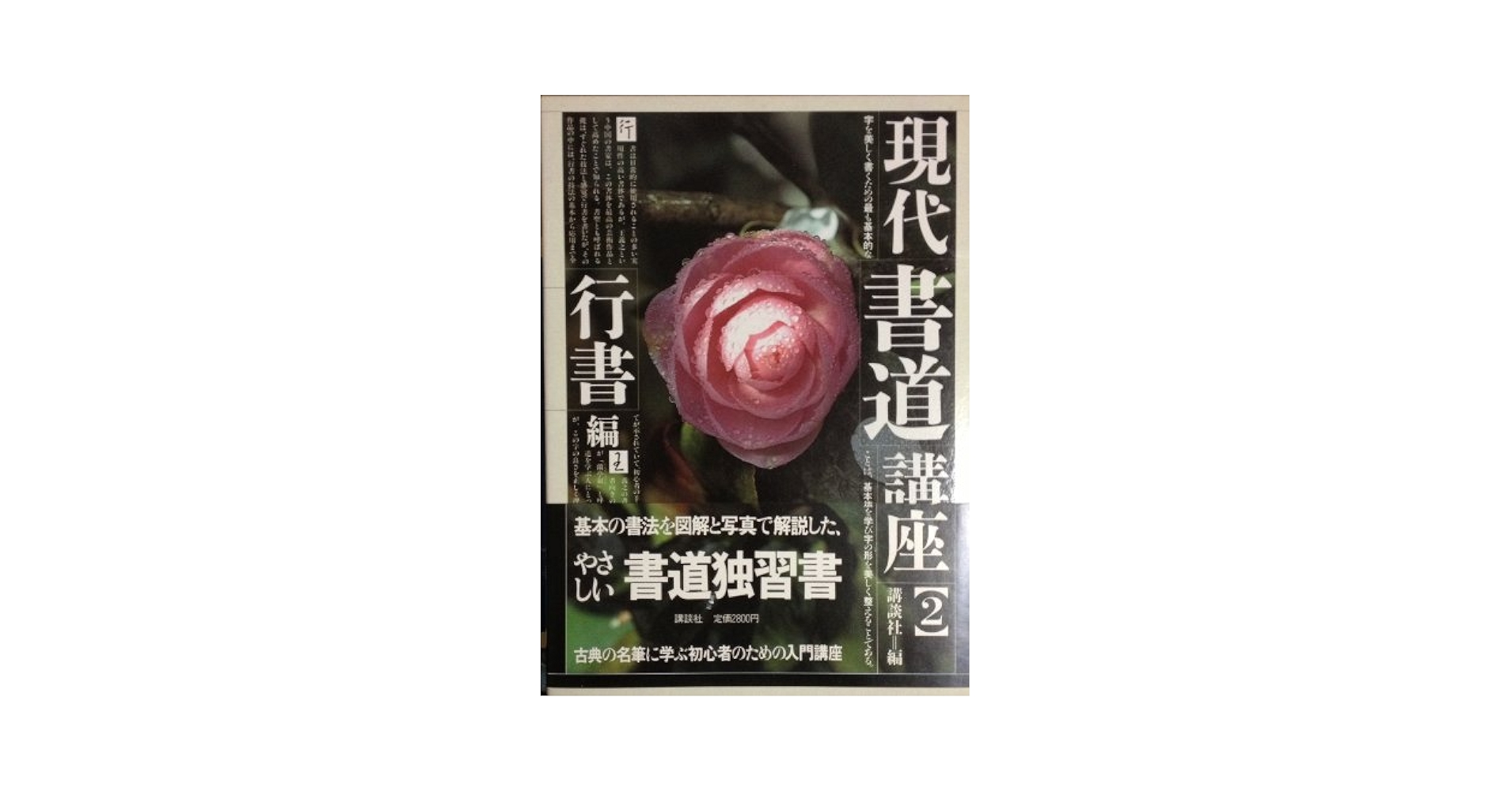 Amazon.co.jp: 現代書道講座 (2) 行書編 : 講談社: Japanese Books