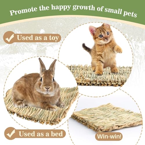 Sukh 2 Pcs Rabbit Grass Mats - Natural Hay Woven Bunny Rabbit Bad Cage Mats Pet Bedding Cooling Sleeping Nesting & Toys For Hamster Bunny Chinchilla Guinea Pig Mouse Bird And Other Small Animal thumb #4