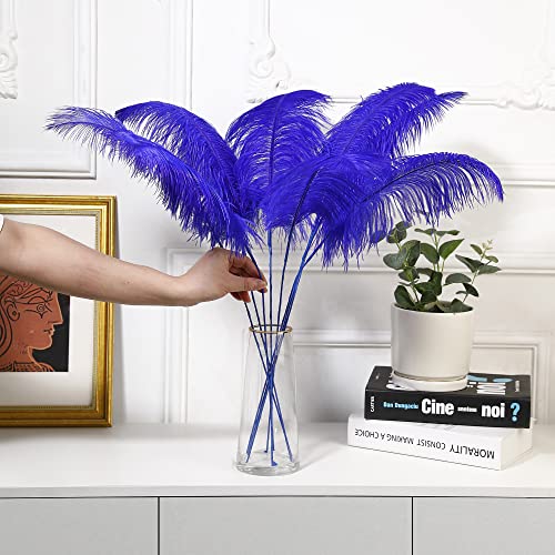 Ballinger Blue Ostrich Feathers Bulk - Making Kit 10Pcs 28 Inch Large Feathers For Crafts, Wedding Party Centerpieces, Vase,Floral Arrangement And Home Decor #TOP5