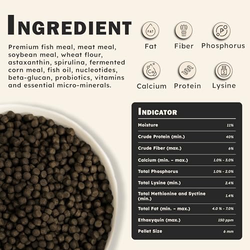 HARUTO Koi Food Color Enhancer 11lb – Floating Pellets with Spirulina & Astaxanthin, Appearance-Focused Formula, Daily Feeding for Koi Fish Ponds - Image 3