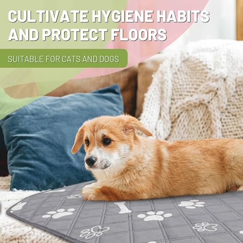 Image of PatiencET Washable Pee Pads for Dogs, 24'' x 36 inch Reusable Puppy Pads with Super Absorbent, 2 Pack Puppy Potty Pads with Waterproof Bottom for Pet Training, Housebreaking and Incontinence