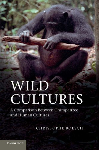 Wild Cultures view 2
