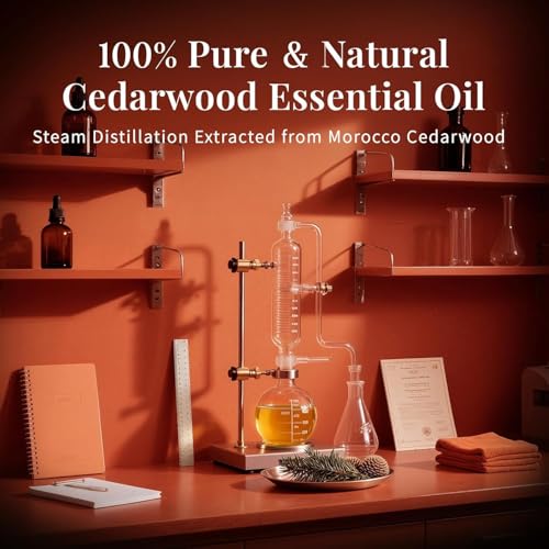 Aceite Esencial de Árbol de Cedro 100% Natural 15 ml miniatura 5