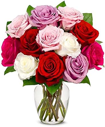 Una docena de rosas de tallo largo De You Flowers, en rosa, rojo, púrpura, blanco (florero incluido)