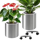 Photo Gallery longrunnew vaso rotondo in acciaio inox con carrello a rulli, due vasi da 25 cm e 30 cm, superficie verniciata anti-impronta, facile da pulire, per interni ed esterni Photo Gallery longrunnew vaso rotondo in acciaio inox con carrello a rulli, due vasi da 25 cm e 30 cm, superficie verniciata anti-impronta, facile da pulire, per interni ed esterni