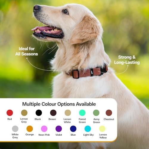 Image of Adil's Biothane Waterproof Dog Collar, Dog Leash & Collar Leash Combo | Heavy Duty TPU Coated Webbing | Adjustable Quick Release Buckle | Odour Resistant (Chestnut, M-18, Collar only)