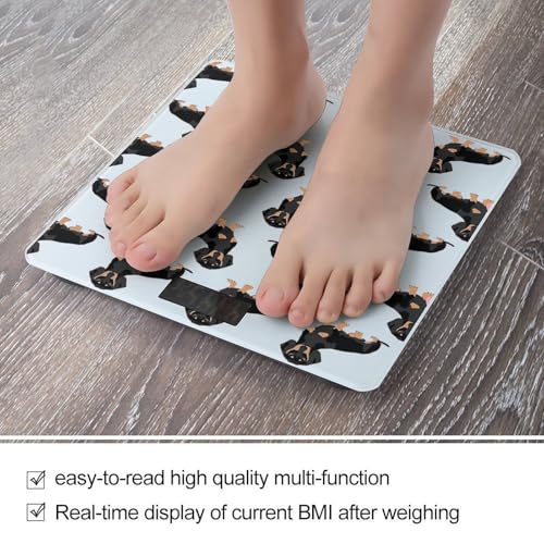 Báscula digital de baño para mascotas Dachshund Weiner miniatura 5
