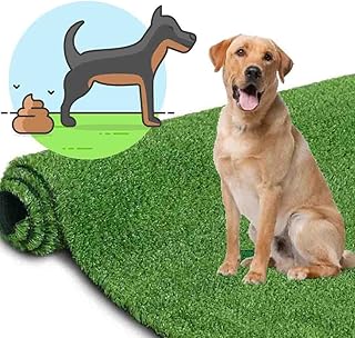 Tapete Higienico De Grama Sintetico Cachorro Cao Dog Gramado Sanitario 1 Metro Quadrado Lavevel Economico Reutilizavel Decoraçao Economico  