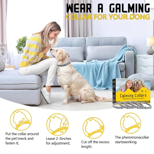 Image of 5 Pack Calming Collar for Dogs, Dog Pheromone Calm Collars Relief Anxiety Stress Separation Lasts 60 Days Relieve Bad Behavior, 25 in Size for All Small Medium and Large Dog (Gray)