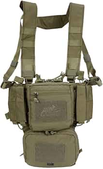 51VQ6-R6MAL._AC_UF350,