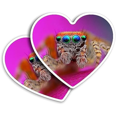 Heart Shape Cute Spider Vinyl Stickers Cover