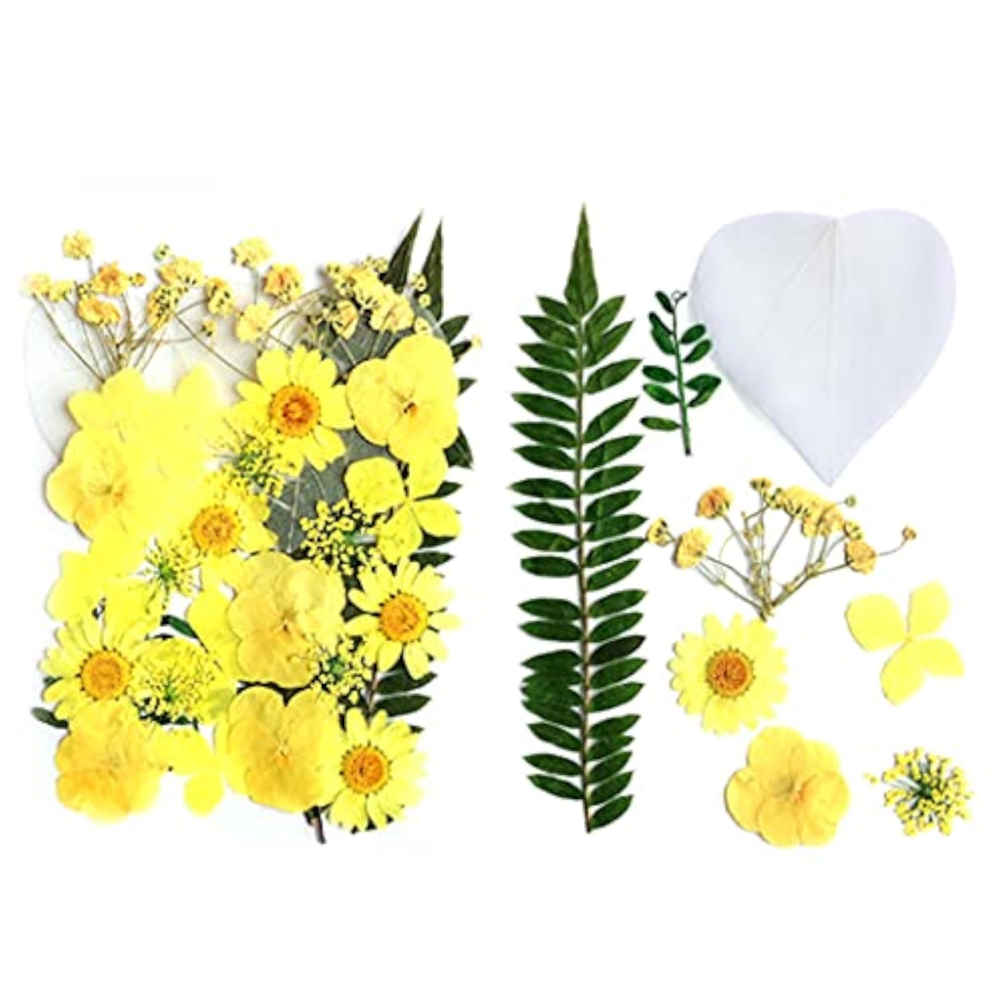 Real Dried Flower Set for Bookmark & Resin Nail Art