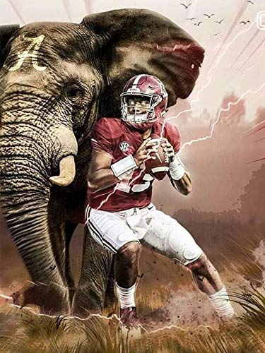 Diamond Painting by Number Kits for Adults 14x20 Inch,DIY 5D Round Full Drill Art Perfect for Relaxation and Home Wall Decor May11-095