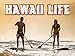 Hawaii Life Season 7