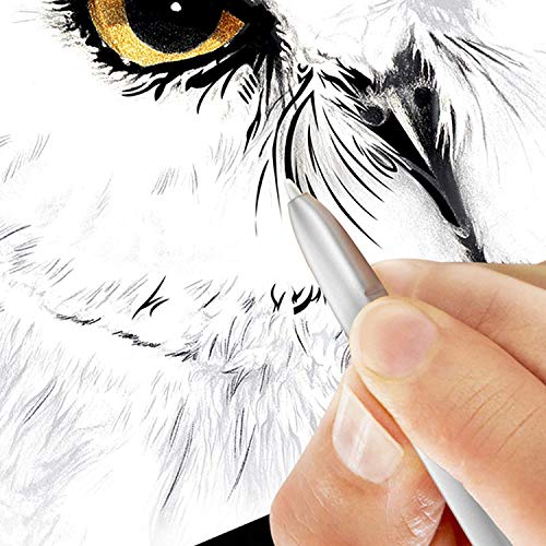 Samsung Chromebook Plus (Wifi + Lte Verizon) Chrome Os 12.2" Hd Touchscreen Intel Celeron 3965Y 4Gb Ram 32Gb Emmc - Xe525Qbb-K01Us (Stealth Silver) #TOP4