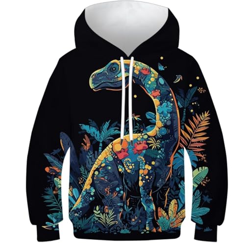 Pull dragon à capuche pour garçon et fille avec imprimé mystérieux