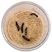 Nature Gift Store 5 Live Caterpillars Shipped Now- Butterfly Kit Refill+Supplies