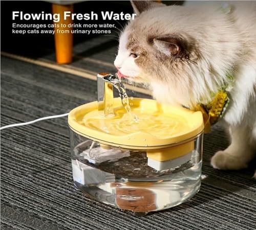 Fontaine d'eau automatique pour chat calme et serein avec filtration triple et lumière de nuit