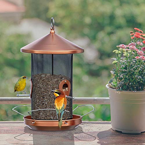Qeeman Large Bird Feeder Outdoor 12.6 Inches Mesh Screen With Copper-Look,Wild Bird Feeder Comes With Hook To Hang On Trees #TOP4