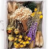 130Pcs DIY Mixed Natural Dried Flower Set, Preserved Flowers Bulk with Baby's Breath, Dried Roses, Eucalyptus Stems, Mini Handmade Flower Arrangement, Dried Flower for Home Decor