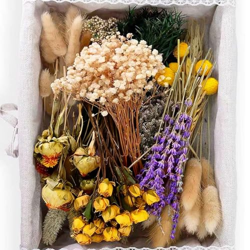 130Pcs DIY Mixed Natural Dried Flower Set, Preserved Flowers Bulk with Baby's Breath, Dried Roses, Eucalyptus Stems, Mini Handmade Flower Arrangement, Dried Flower for Home Decor