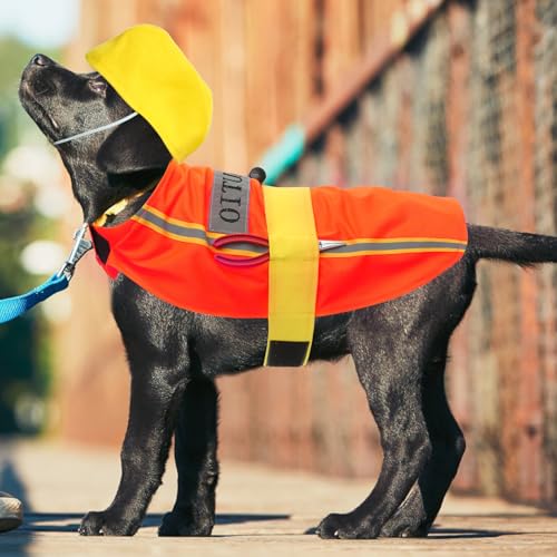 Disfraz para perro naranja tamaño L de poliéster miniatura 5