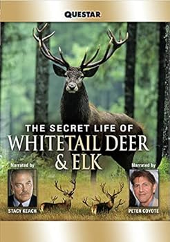 The Secret Life of Whitetail Deer and Elk