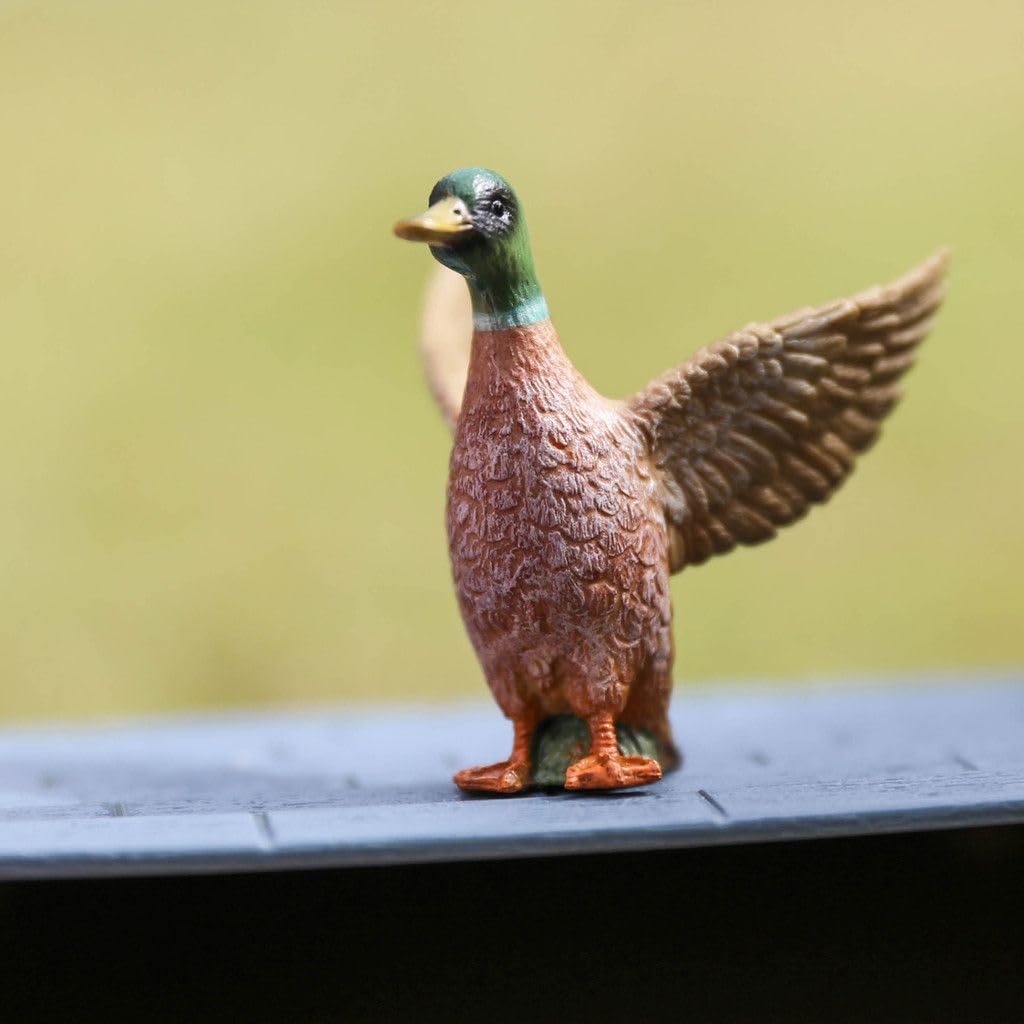 Buy CollectA Male Mallard Duck Online at Low Prices in India