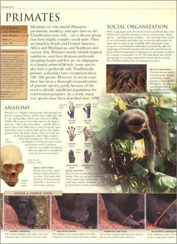 Animal: The Definitive Visual Guide to the World's Wildlife - Image 4