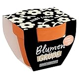 Grafik Werkstatt Blumengrüße Sommerblumen-Mix | Mini-Terrakotta-Töpfchen mit Samen | Alles Liebe