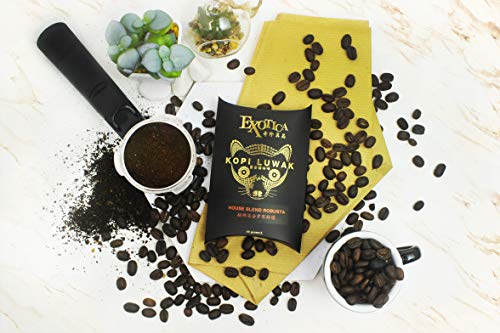 100% Wild Genuine World's Most Expensive Coffee, Kopi Luwak Specialty Robusta House Blend