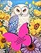 Owls, Sunflowers and Butterflies Coloring Book