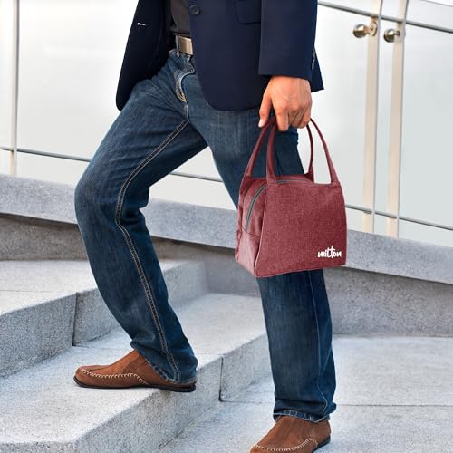 Image of MILTON Fancy Lunch Bag I Design Tiffin Bag for Office for Men, Women I Eco Friendly, Spacious, Durable I 2.44 L I Maroon