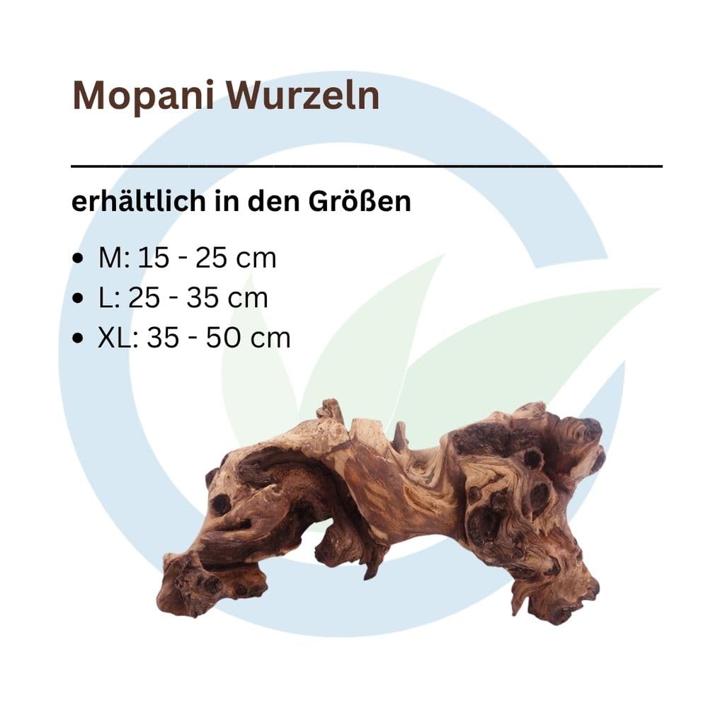 AquaOne Aquarium Wurzel Deko XL Mopani Aquascaping Echtholz Holz Dekoration Pflanzen Wasserpflanzen Landschaft Moos Natur Mopaniwurzel Welse