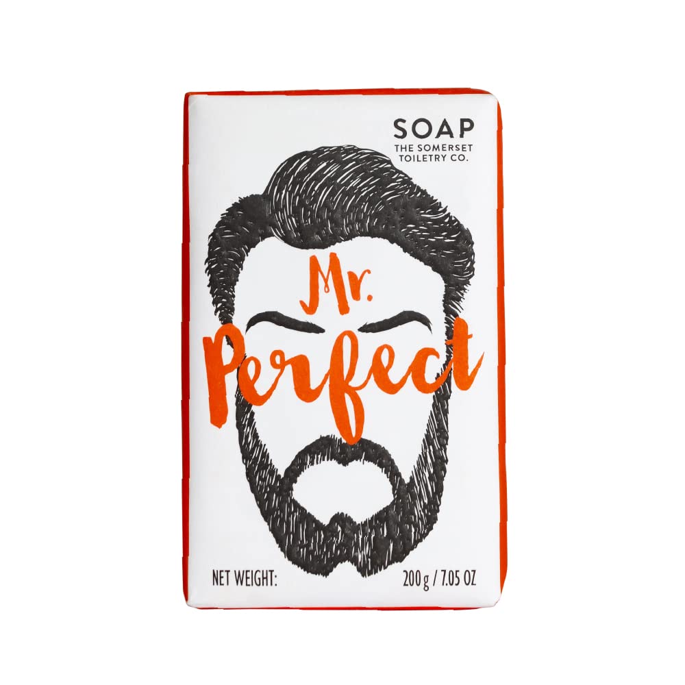 Mr Perfect and Friends by Somerset Mr perfect soap by somerset, 7.05 Fl Oz, Mr. Perfect, Single (51972)
