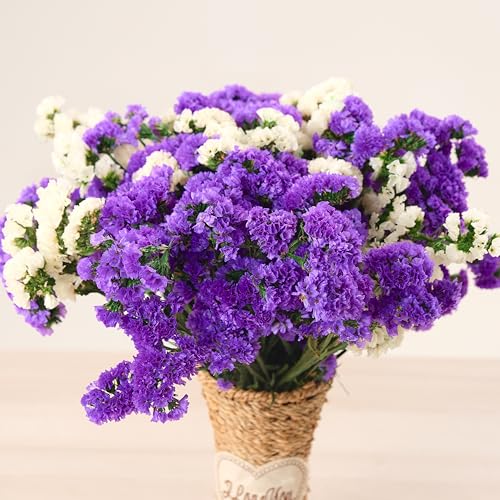 Ramo de flores secas de lavanda de mar preservadas