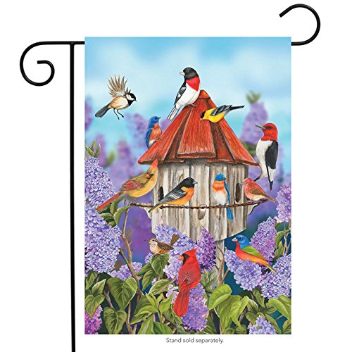 Briarwood Lane Birds and Lilacs Spring Garden Flag Birdhouse Floral Cardinal 12.5