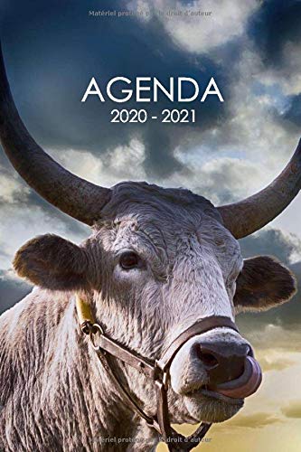 Télécharger Agenda 2020 - 2021: Agenda scolaire vache taureau bœuf cute mignon kawaii trés cool pour étudiant Livre eBook France